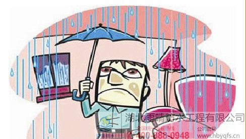 雨晴董事長(cháng)指出：中國(guó)建筑渗漏水顽疾如