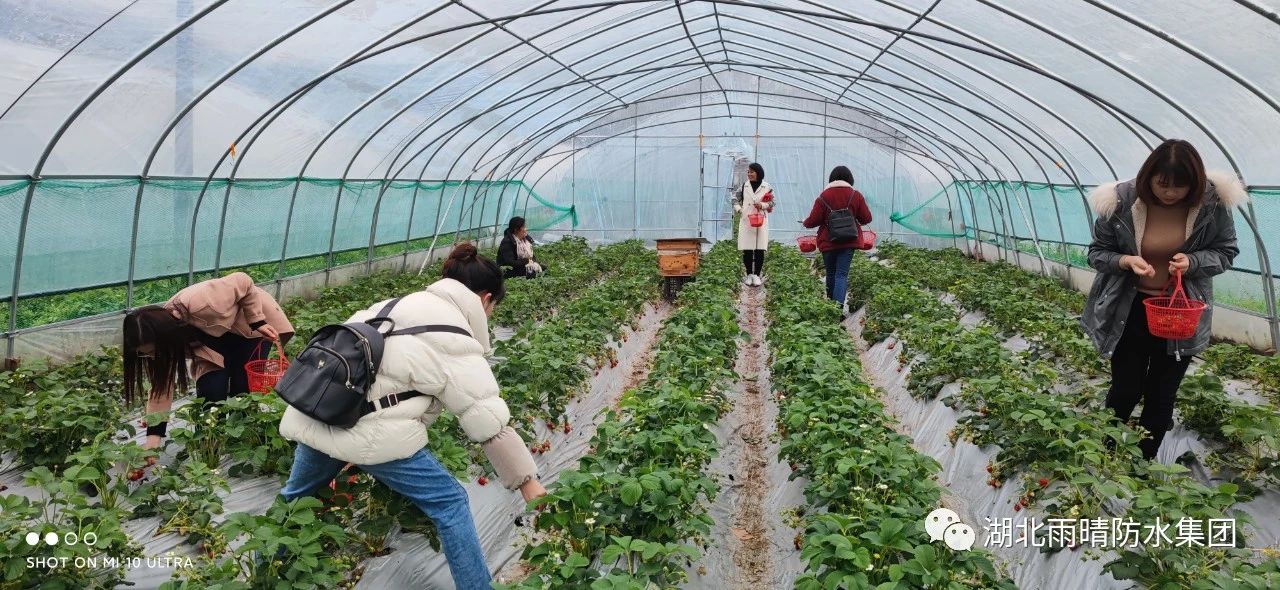 凝聚巾帼力量，共创雨晴伟业——记2021年三八节福利活动