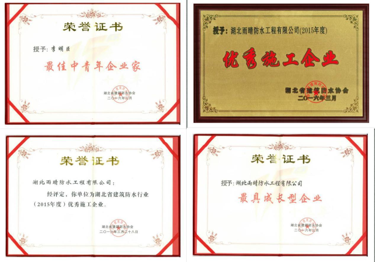 热烈庆贺湖(hú)北雨晴集团董事長(cháng)李明臣于2016年度被湖(hú)北建筑防水协会特聘為(wèi)——防水协会专家委员